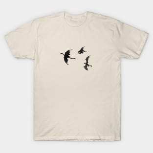 Dragons in Flight T-Shirt